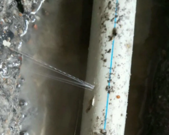 林州卫生间测漏水多少钱