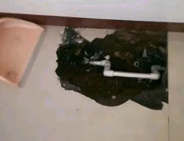 林州卫生间测漏水多少钱